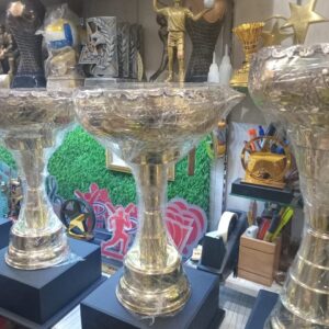 Golden Championship Sports Trophies Set ( Cup shape )
