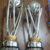 Metal cricket Trophy Silver Set